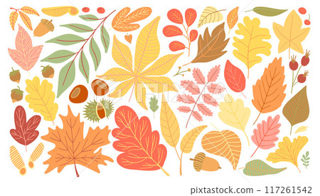 A vibrant collection of autumn leaves, acorns, chestnuts, and berries in warm shades of orange, yellow, and red. Perfect for seasonal designs celebrating the beauty of fall A vibrant collection of autumn leaves, acorns, chestnuts, and berries in warm shades of orange, yellow, and red. Perfect for seasonal designs celebrating the beauty of fall 117261542