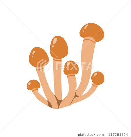 Illustration of a cluster of brown mushrooms with elongated stems and round caps. Detailed botanical design showcasing natural, organic fungi found in forests. Perfect for nature-themed projects Illustration of a cluster of brown mushrooms with elongated stems and round caps. Detailed botanical design showcasing natural, organic fungi found in forests. Perfect for nature-themed projects 117261554