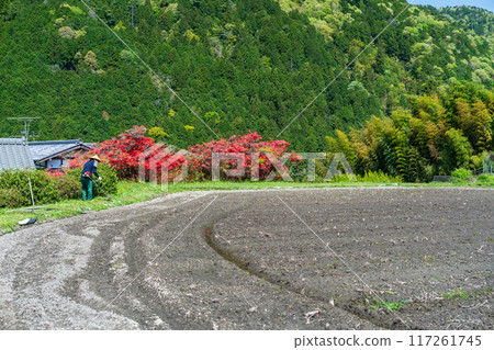 Photographing the delightful scenery of Ohara Village in Sakyo Ward, Kyoto City from spring to early summer 117261745