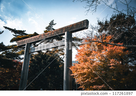 鳥居和秋葉 鳥居和秋葉 117261897