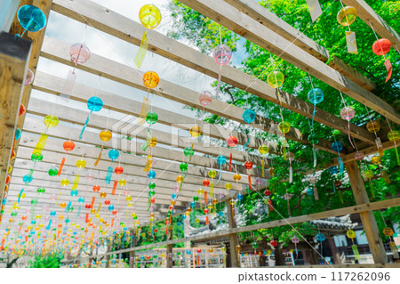 A photo of the wind chime approach to the Tendai sect's Saikyoji temple, the family temple of Akechi Mitsuhide, in Otsu City, Shiga Prefecture. A photo of the wind chime approach to the Tendai sect's Saikyoji temple, the family temple of Akechi Mitsuhide, in Otsu City, Shiga Prefecture. 117262096