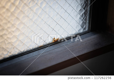 生鏽的金屬絲玻璃 117262256