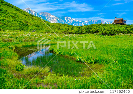 倒映在池塘裡的白馬山脈 117262460