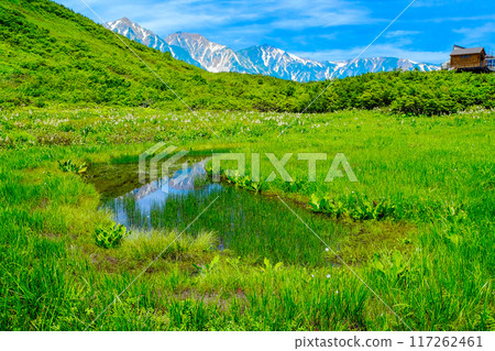 倒映在池塘裡的白馬山脈 117262461