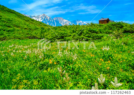 白馬三山和花園 117262463