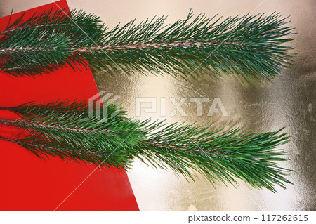 Young pine silverbacks for New Year's decoration Young pine silverbacks for New Year's decoration 117262615