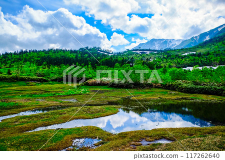 Snowy mountains reflected in the pond Snowy mountains reflected in the pond 117262640