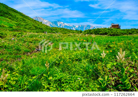 卡町濕地與白馬三山 卡町濕地與白馬三山 117262664