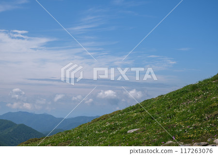 平柴山、千倉山的花田 117263076