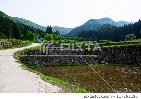 Rural Scenery: Fukushima Rice Terrace Village Rural Scenery: Fukushima Rice Terrace Village 117263186
