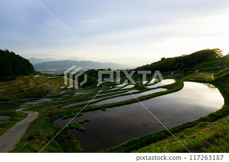Rural Scenery: Inakura Rice Terraces 117263187