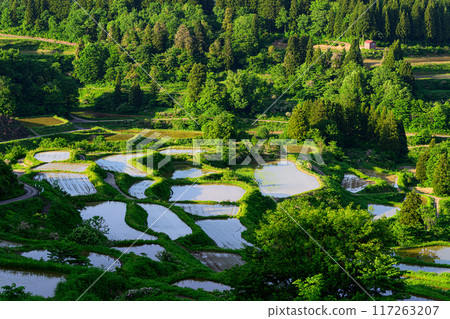Rural scenery: Rice terraces at Hoshitoge 117263207