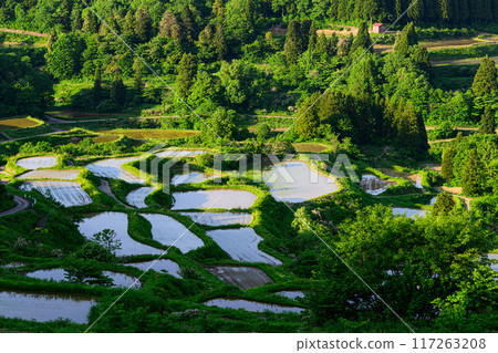 田園風光:星峠的梯田 田園風光:星峠的梯田 117263208