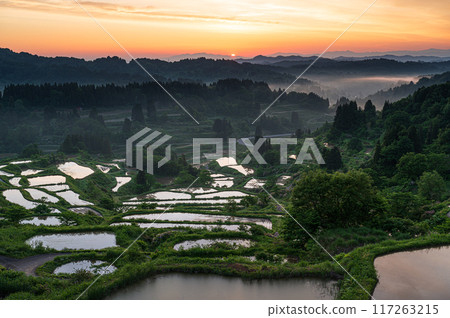 Rural scenery: Rice terraces at Hoshitoge Rural scenery: Rice terraces at Hoshitoge 117263215