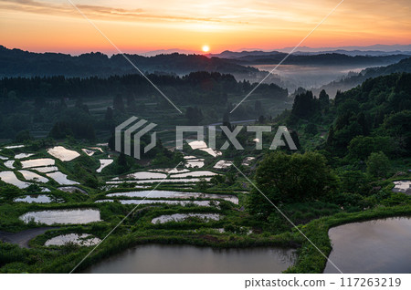 Rural scenery: Rice terraces at Hoshitoge Rural scenery: Rice terraces at Hoshitoge 117263219