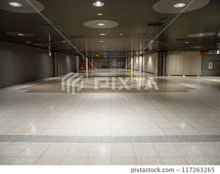 東京城市景觀:空蕩蕩的市中心的地下通道 東京城市景觀:空蕩蕩的市中心的地下通道 117263265