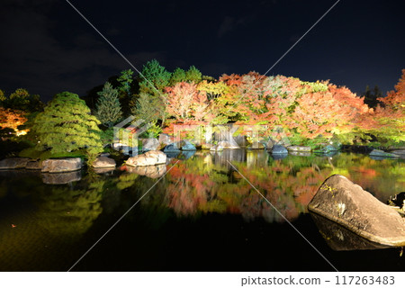 Kokoen的秋葉照亮（兵庫縣姬路市） 117263483