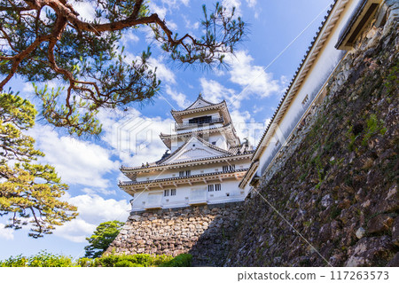 高知縣高知市、日本名城百選、高知城、天守閣 117263573