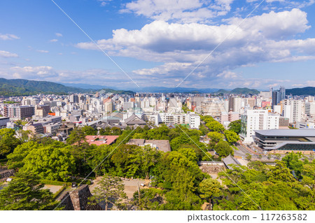 高知縣高知市，日本百座名城，高知城，從塔樓俯瞰 117263582
