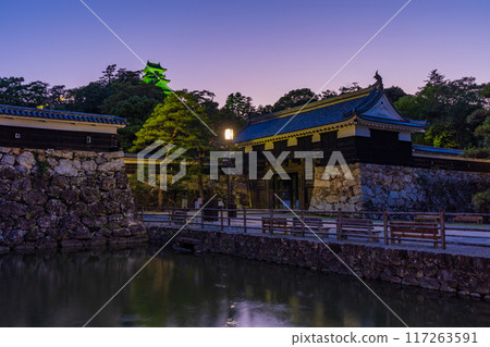 Kochi Castle at night, one of Japan's 100 famous castles, Kochi City, Kochi Prefecture 117263591