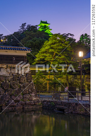 Kochi Castle at night, one of Japan's 100 famous castles, Kochi City, Kochi Prefecture 117263592