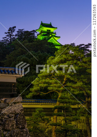 高知縣高知市，日本百座名城，夜晚的高知城 117263593