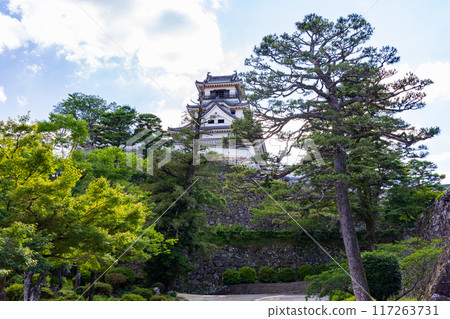 Kochi City, Kochi Prefecture, Japan's 100 Famous Castles, Kochi Castle, Main Tower Kochi City, Kochi Prefecture, Japan's 100 Famous Castles, Kochi Castle, Main Tower 117263731