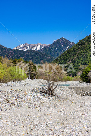 Early summer hiking in the Northern Alps: Walking along the left bank of the Azusa River from Kamikochi: Mt. Nakayama and Mt. Daitenjo 117263892