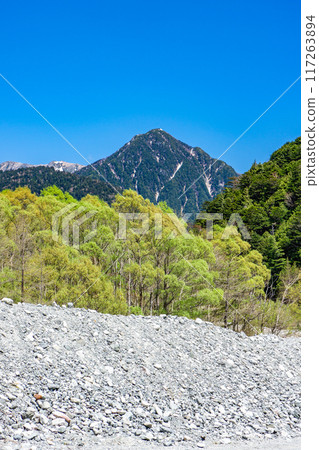 Early summer hiking in the Northern Alps: Walking along the left bank of the Azusa River from Kamikochi, Nakayama Early summer hiking in the Northern Alps: Walking along the left bank of the Azusa River from Kamikochi, Nakayama 117263894