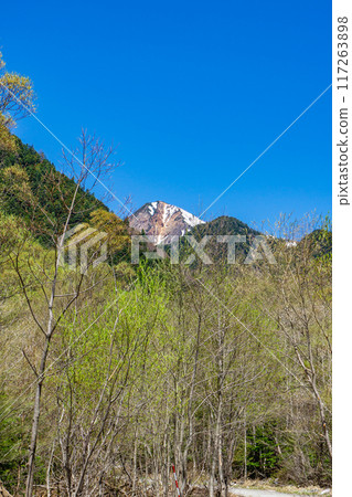 初夏攀登北阿爾卑斯山，沿著梓川左岸小徑從上高地步行至西山 117263898