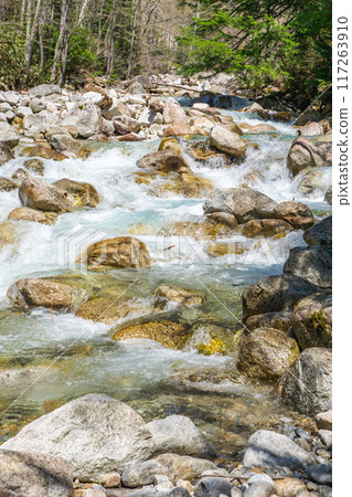 Early summer hiking in the Northern Alps: Walking along the Yarisawa hiking trail, Ichinomata Valley, mountain stream 117263910