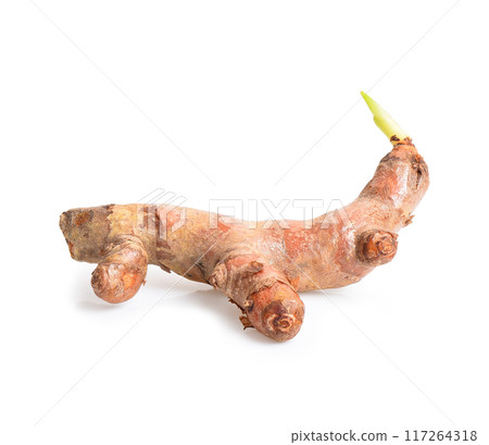 Fresh turmeric root isolated on white background. Fresh turmeric root isolated on white background. 117264318