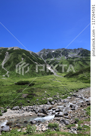 View from the Tateyama mountain range View from the Tateyama mountain range 117264591
