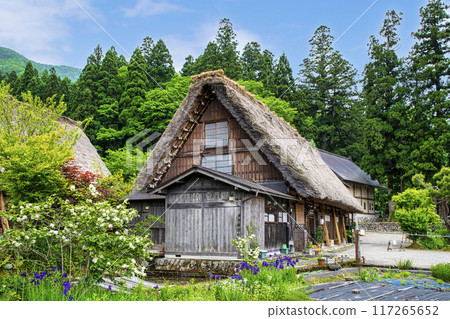 岐阜縣、白川鄉合掌造村、合掌造旅館、木戶屋、世界遺產 岐阜縣、白川鄉合掌造村、合掌造旅館、木戶屋、世界遺產 117265652