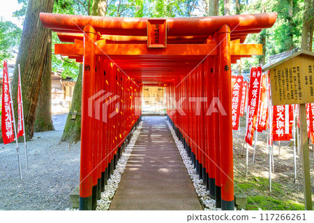滋賀縣犬神郡多賀町、多賀大社(祈求長壽)、金崎稻荷神社(鳥居) 滋賀縣犬神郡多賀町、多賀大社(祈求長壽)、金崎稻荷神社(鳥居) 117266261