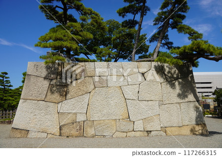 城堡牆壁的廢墟 城堡牆壁的廢墟 117266315