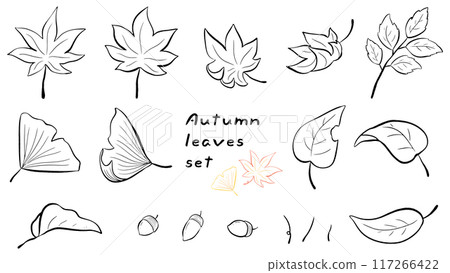 秋葉、楓樹和銀杏葉,簡單的手繪線條畫插圖集 秋葉、楓樹和銀杏葉,簡單的手繪線條畫插圖集 117266422
