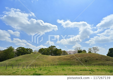埼玉古墳公園內的鐵保山古墳 埼玉古墳公園內的鐵保山古墳 117267139