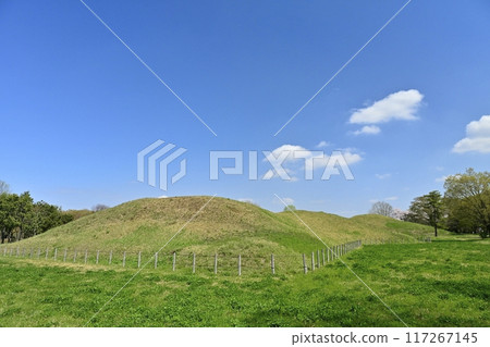 Okunoyama Kofun in Sakitama Kofun Park 117267145