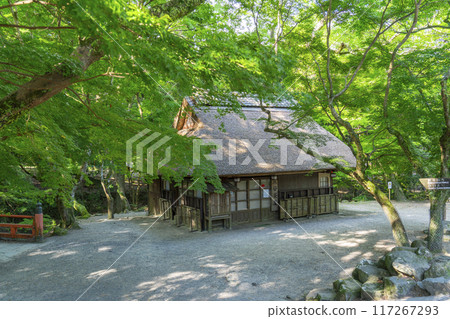 藍色楓葉下的水穀茶屋(奈良公園內) 藍色楓葉下的水穀茶屋(奈良公園內) 117267293