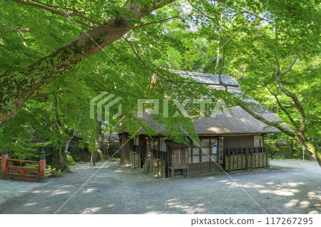 Mizutani Chaya under the green maples (in Nara Park) Mizutani Chaya under the green maples (in Nara Park) 117267295