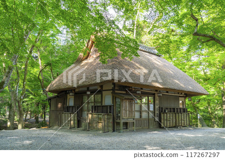 Mizutani Chaya under the green maples (in Nara Park) Mizutani Chaya under the green maples (in Nara Park) 117267297