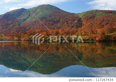 Symmetry between autumn leaves and the lake surface 117267434