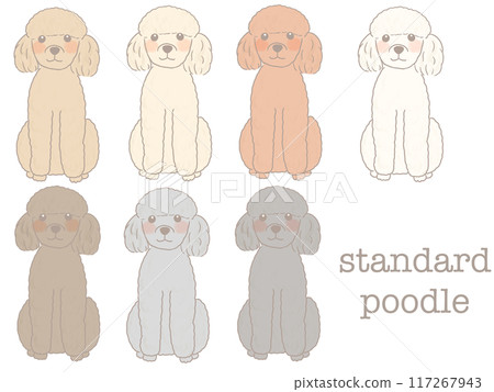 標準貴賓犬坐著微笑的插圖集 117267943