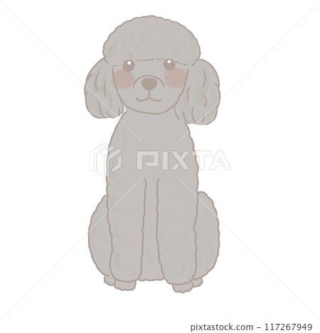 Illustration of a standard poodle sitting and smiling Illustration of a standard poodle sitting and smiling 117267949