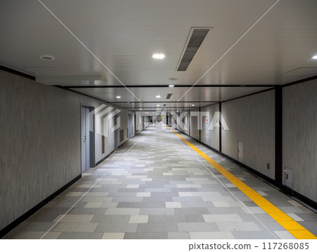 東京城市景觀:市中心的地下通道 東京城市景觀:市中心的地下通道 117268085