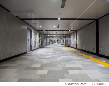 東京城市景觀:市中心的地下通道 東京城市景觀:市中心的地下通道 117268086