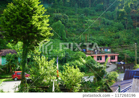 A Beautiful and Greenery Village at Lingtham Sikkim A Beautiful and Greenery Village at Lingtham Sikkim 117268196