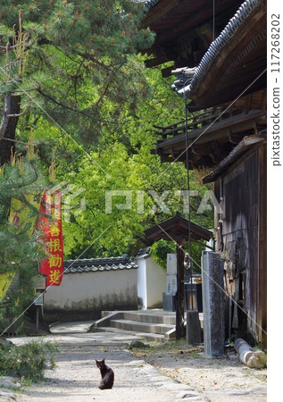 松山：石手寺後面的景色 117268202