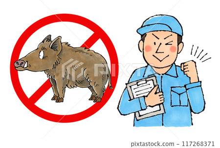 Male worker of a wild boar extermination company (no wild boars sign) 117268371